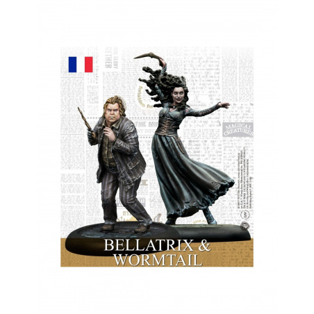 Harry Potter - Bellatrix & Queudver