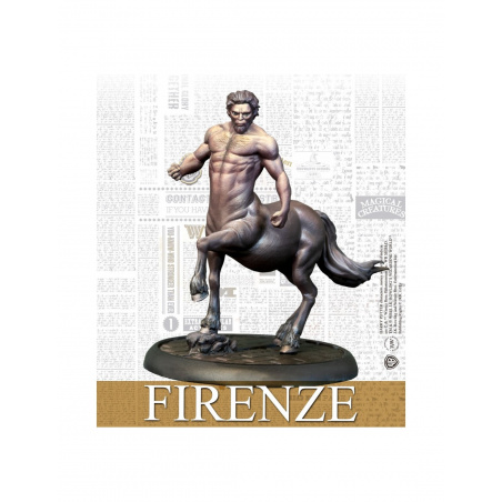 Harry Potter - Firenze