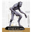 Harry Potter - Remus Lupin