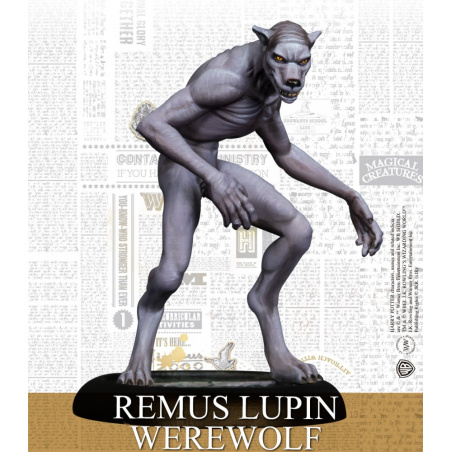Harry Potter - Remus Lupin