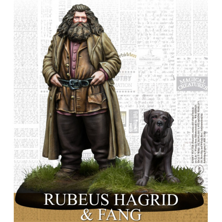 Harry Potter - Rubeus Hagrid & Crockdur