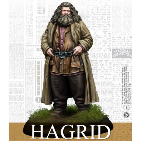 Harry Potter - Rubeus Hagrid & Crockdur