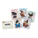 Papillons Celestes