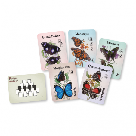 Papillons Celestes