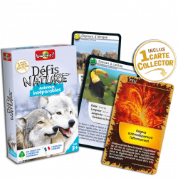 Défis Nature - Animaux Inséparables