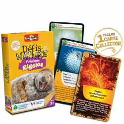 Défis Nature - Animaux Rigolos - Mon Ludicaire