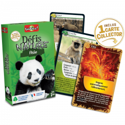 Défis Nature - Asie - Mon Ludicaire