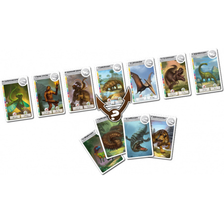 Cardline Animaux 2